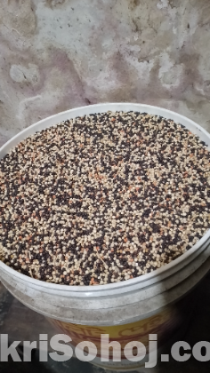 কবুতরের খাবার কালো দানা সাদা বাজরা